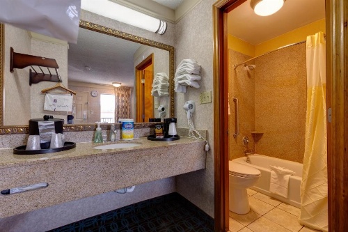 Deluxe Inn - Fayetteville I-95 image 42