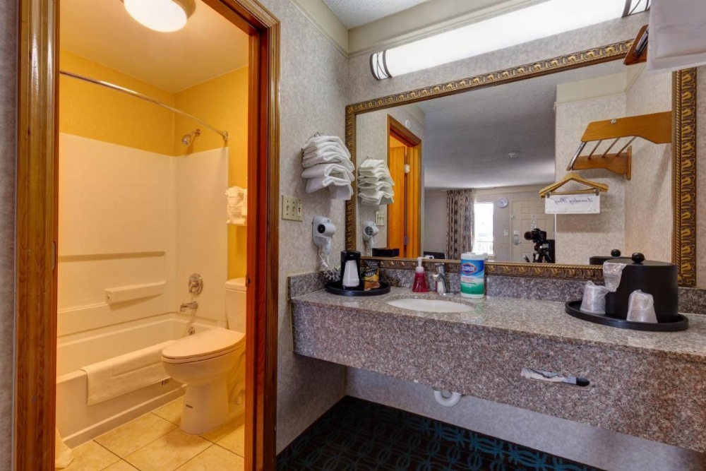 Deluxe Inn - Fayetteville I-95 Image 44