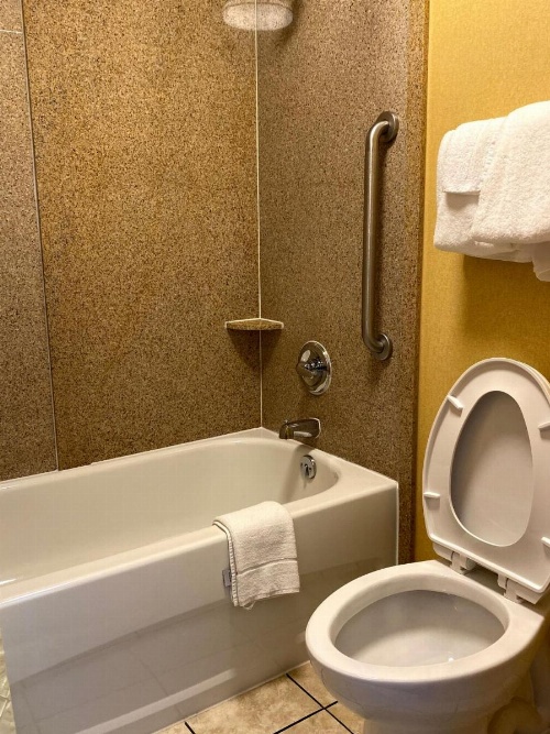 Deluxe Inn - Fayetteville I-95 image 47